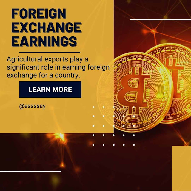 Foreign exchange and earning