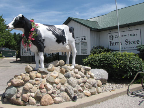 Country Dairy