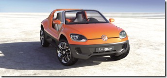 Buggy up!_005