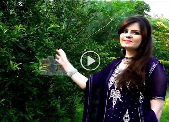 Pashto New Full HD Album 2017 Eid Gift Vol 12 Video 11