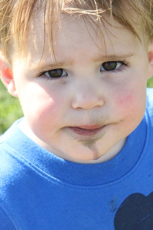Last TeeBall Game and more 070