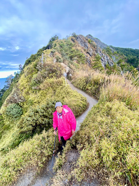 往關山嶺山