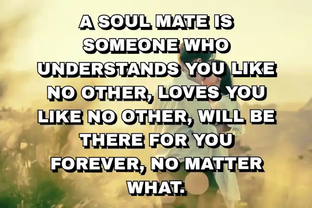 106. “A soul mate is someone who understands you like no other, loves you like no other, will be there for you forever, no matter what.”