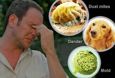 Allergen From Pets