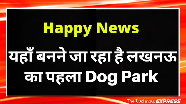 Good News for Dog Lovers