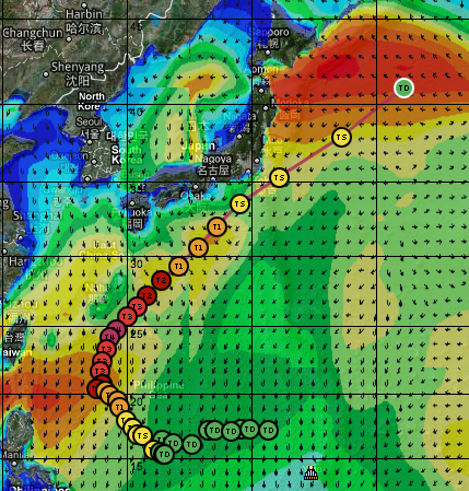Surfing In Japan: Typhoon