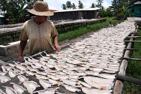 ikan asin Pengawetan ikan tradisional ~ Blog Anak Nelay