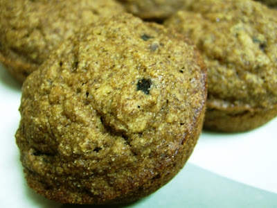 Gluten Free Apple sauce Raisin Spice Healthy Bran Muffins Dairy Free