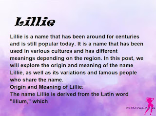 meaning of the name "Lillie"