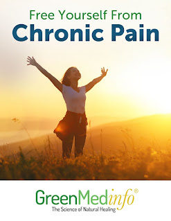 Free Yourself From Chronic Pain eBook