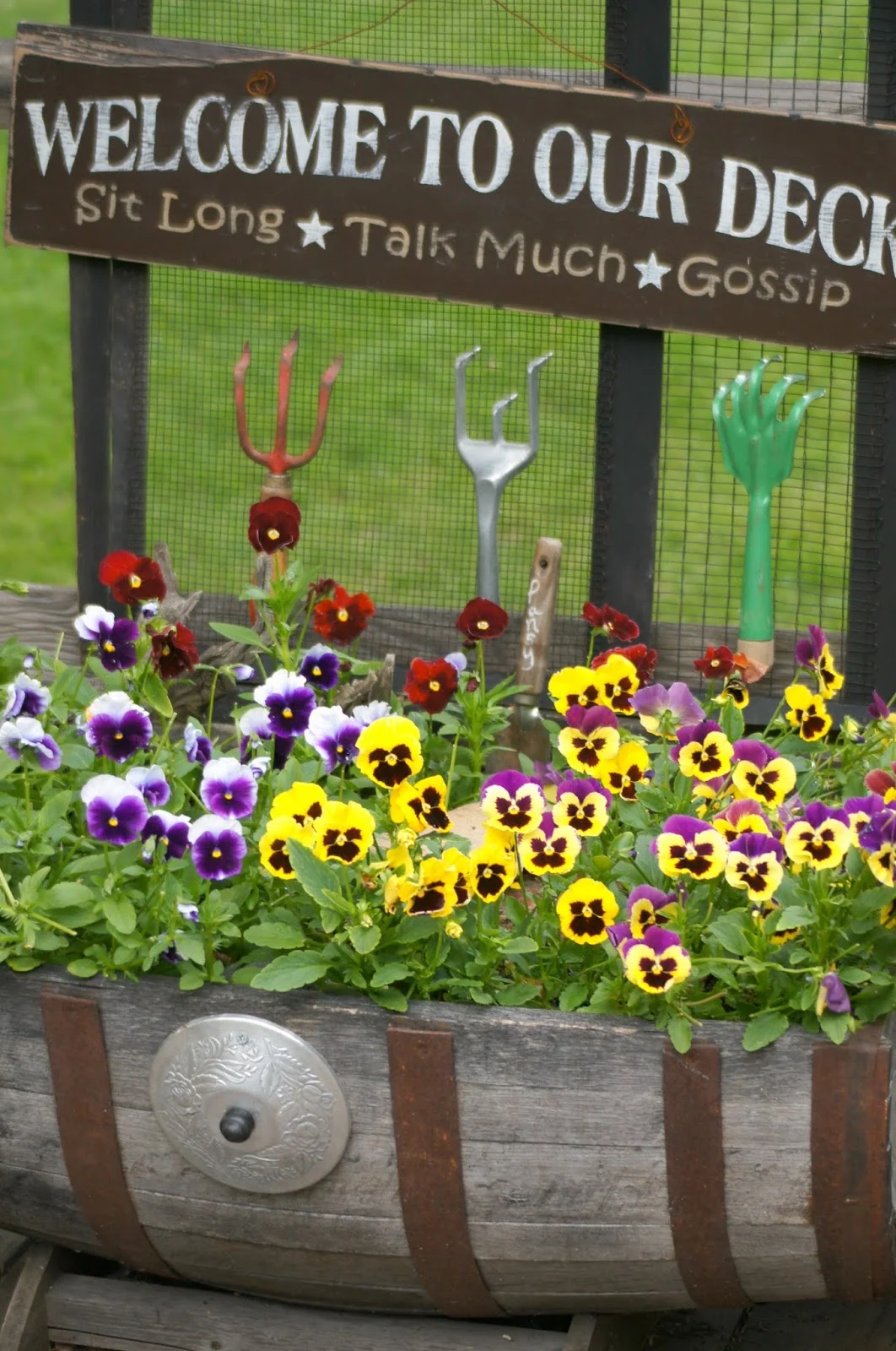 Pansies on the Deck www.organizedclutterqueen.blogspot