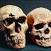 Neandertal distinct des êtres humains