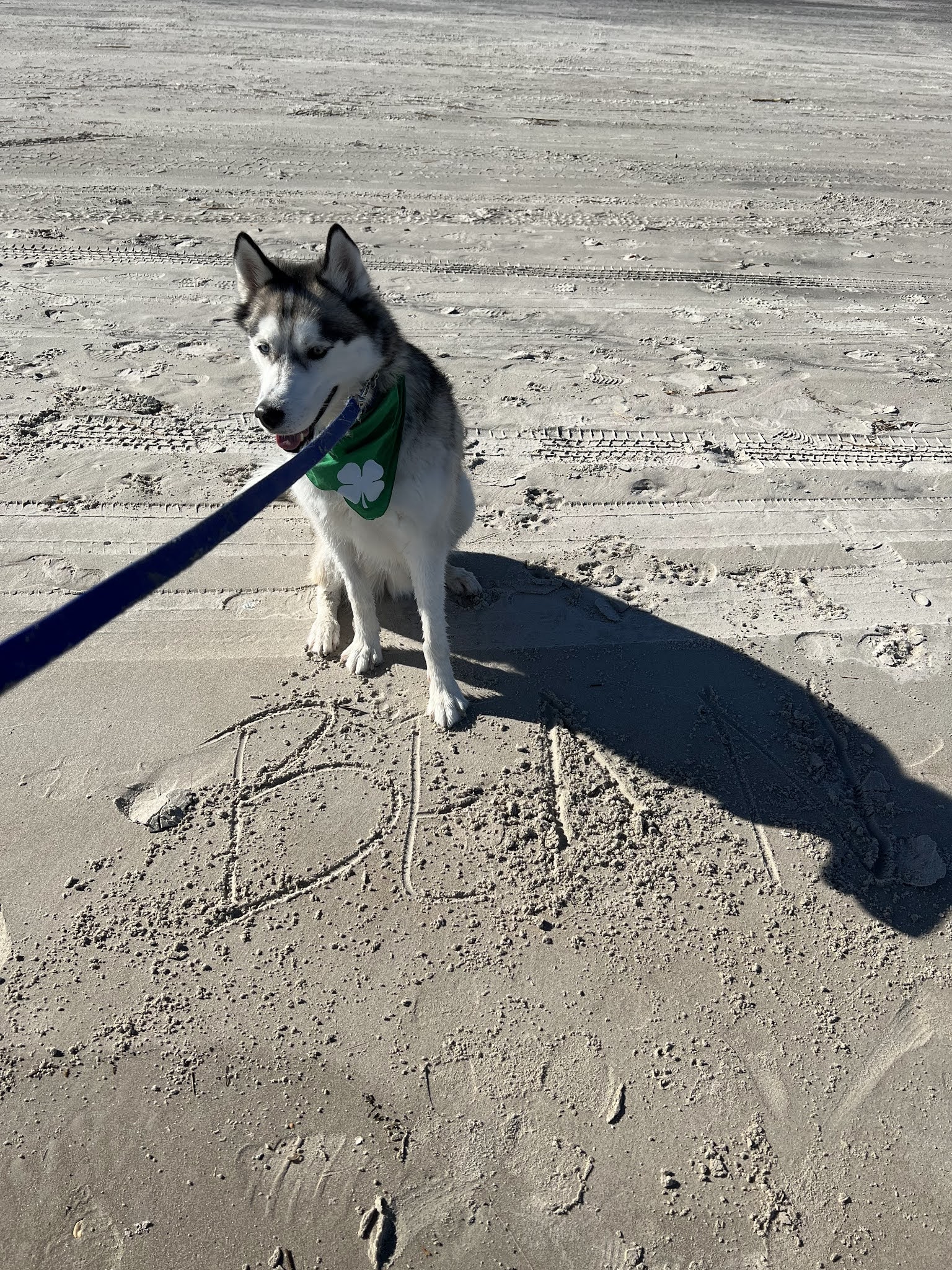 Thanksgiving at the Beach