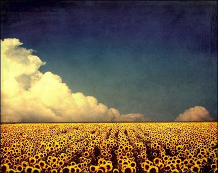 Girasol-Digital-Art