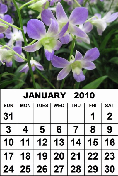 february calendar 2010. infree Calendar+2010+march