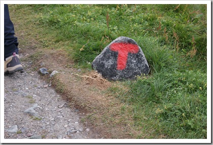 bilde (59)
