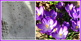 birdie footprints in the snow