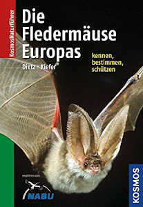 Naturführer Fledermäuse Europas: Alle Arten erkennen und sicher bestimmen