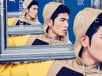 Jam Hsiao - Reflection of Desire - Single [iTunes Purchased M4A]