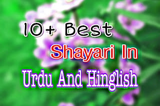 Best Shayari In Urdu And Hinglish