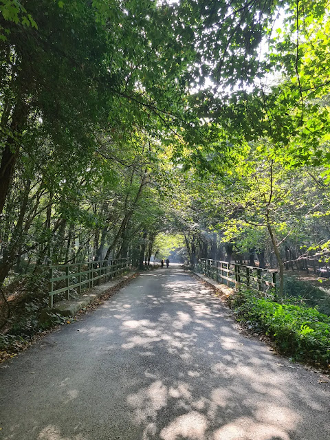 متنزه آيفات بندي الطبيعي في اسطنبول