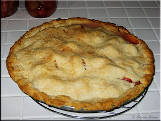 rhubarb pie