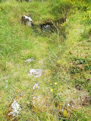 Dysert O'Dea Romanesque Church and Saint Tola's High Cross