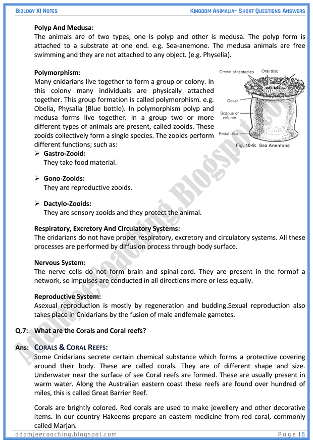 kingdom-animalia-short-question-answers-biology-11th