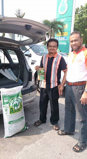 Baja Sentap Anim, Baja Sentap Shah Alam, pokok, bunga, tanaman, buah