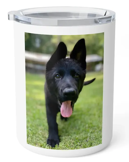 Insulated Stainless Steel Coffee Mug With European Solid Black German Shepherd Walking on the Grass Leaving Tongue Out