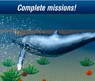 Download Whale Simulator Game | Ocean Whale Simulator 3D