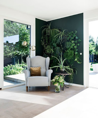 parede-pintada-de-verde-escuro-com-plantas