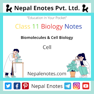 Class 11 Biology Cell Notes