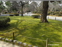 This is moss, not a lawn - Kenroku-en Garden, Kanazawa, Japan