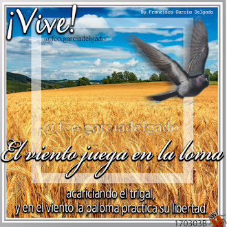 El viento juega en la loma