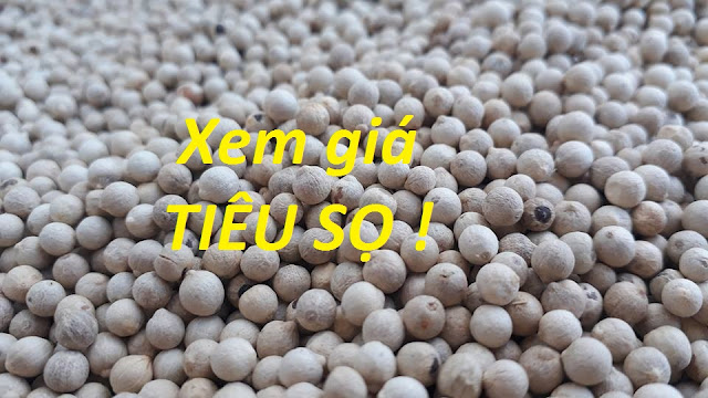 Xem giá tiêu sọ