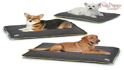 INSECT SHIELD KENNEL MAT