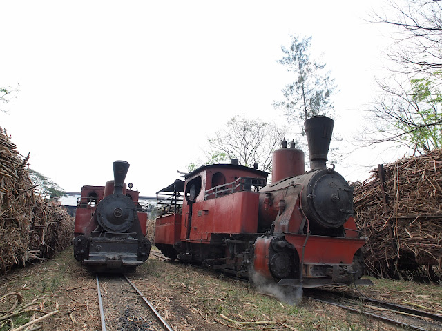 Small Locomotives in Pangkah