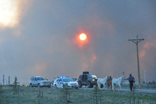 Black forest wildfire June 11 2013 coloradoviews.blogspot.com