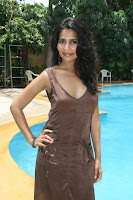 Actress Rachna Shah Hot Photo Shoot