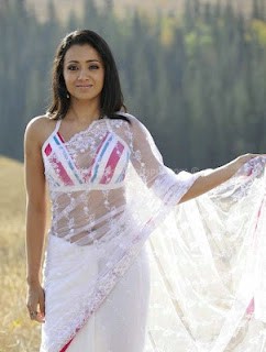 Trisha navel show in transparent saree