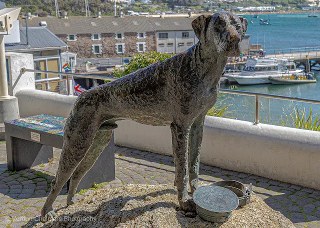 Able Seaman Just Nuisance RN Dog Jubilee Square Simon's Town Vernon Chalmers Photography
