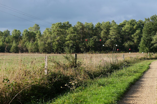 étranges boules renac 35 ligne électrique