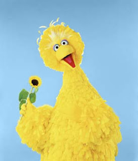 Big Bird