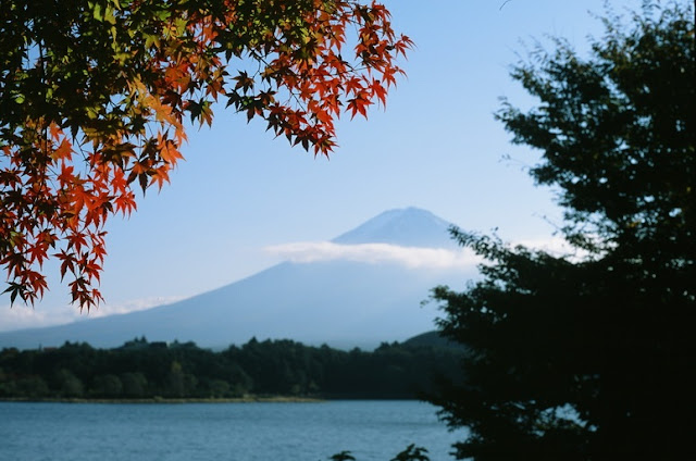 ニコンF 河口湖紅葉