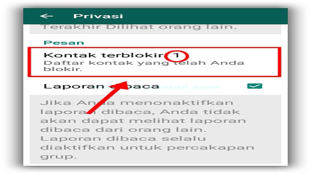 Cara Centang 1 di WA Biasa