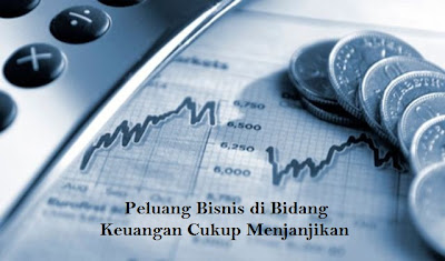 Peluang Bisnis di Bidang Keuangan Cukup Menjanjikan