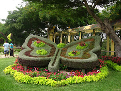 Jardín botánico en el Parque de Las leyendas