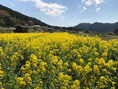 大原三千院