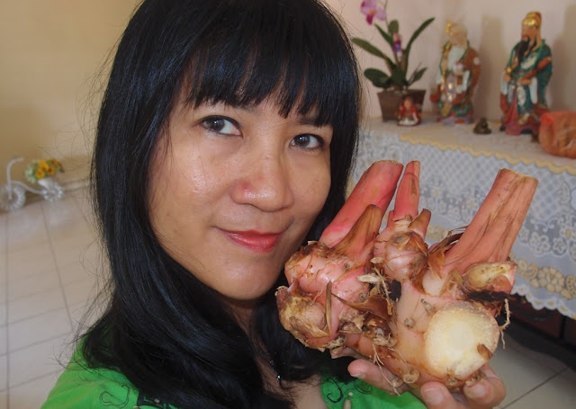 LI NA HERBS: LENGKUAS (GALANGAL)